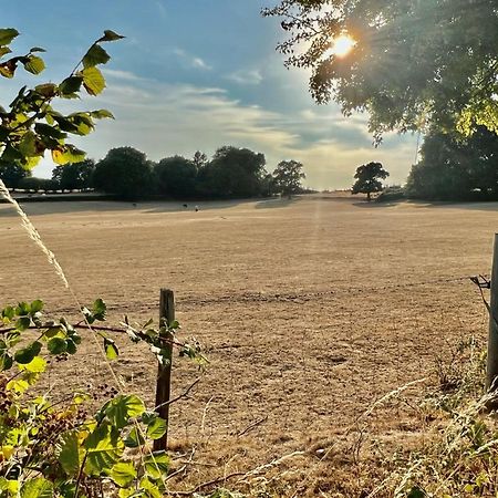 Arniss Farmhouse Fordingbridge Zewnętrze zdjęcie